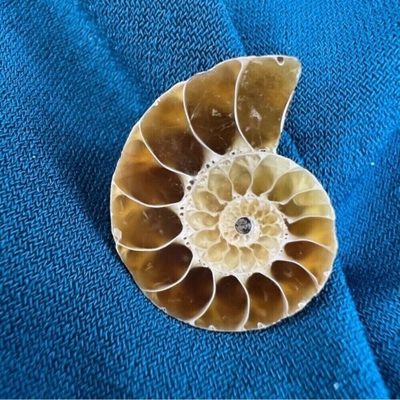 Authentic ammonite fossil tie tack or lapel pin - Picture 2 of 9